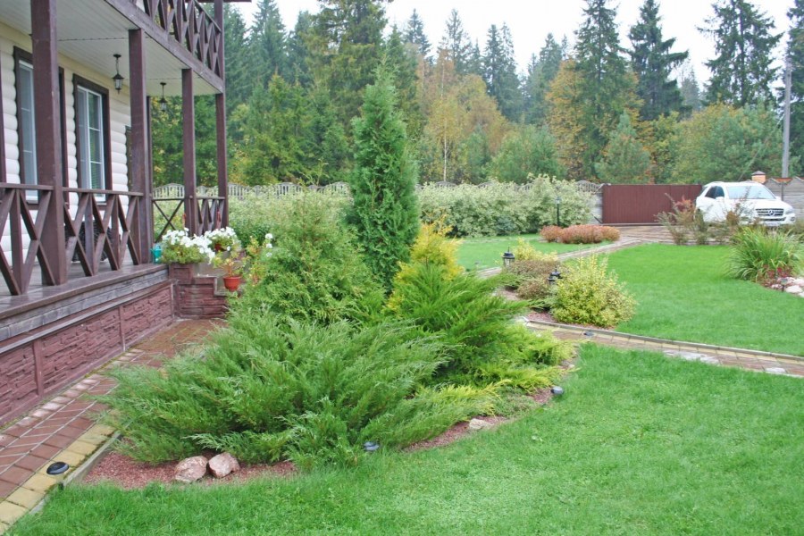 Озеленение и благоустройство дачного участка