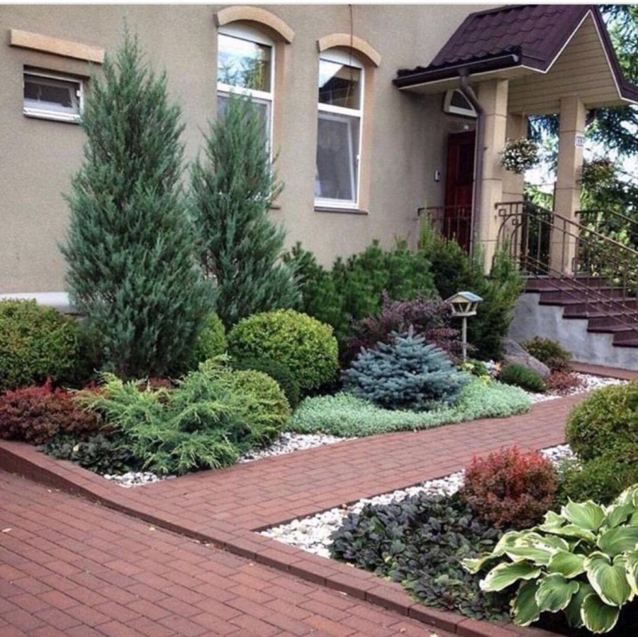 Миксбордер туя Барбарис