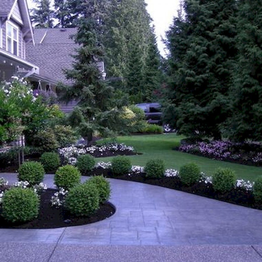 Дворик с хвойными перед домом