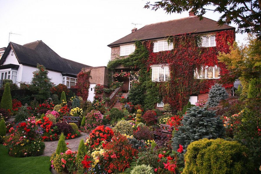 Голландский сад ландшафт