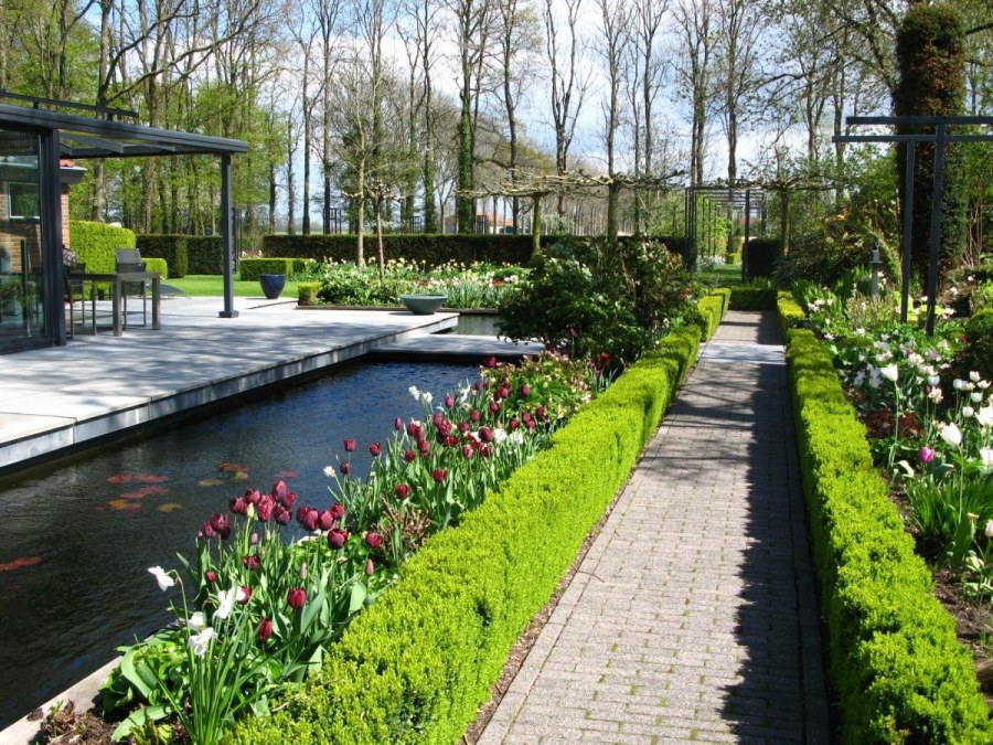 Голландский сад изгородь