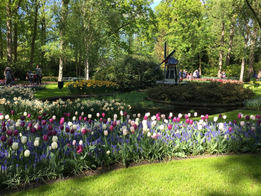 Усадьба территория ландшафт Англия