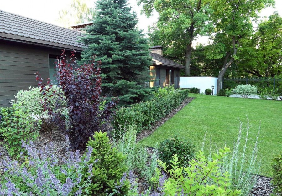 Голландский сад в ландшафтном дизайне