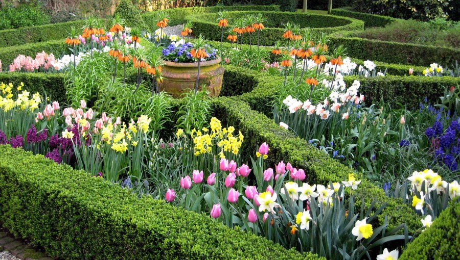 Палисадники в Голландии