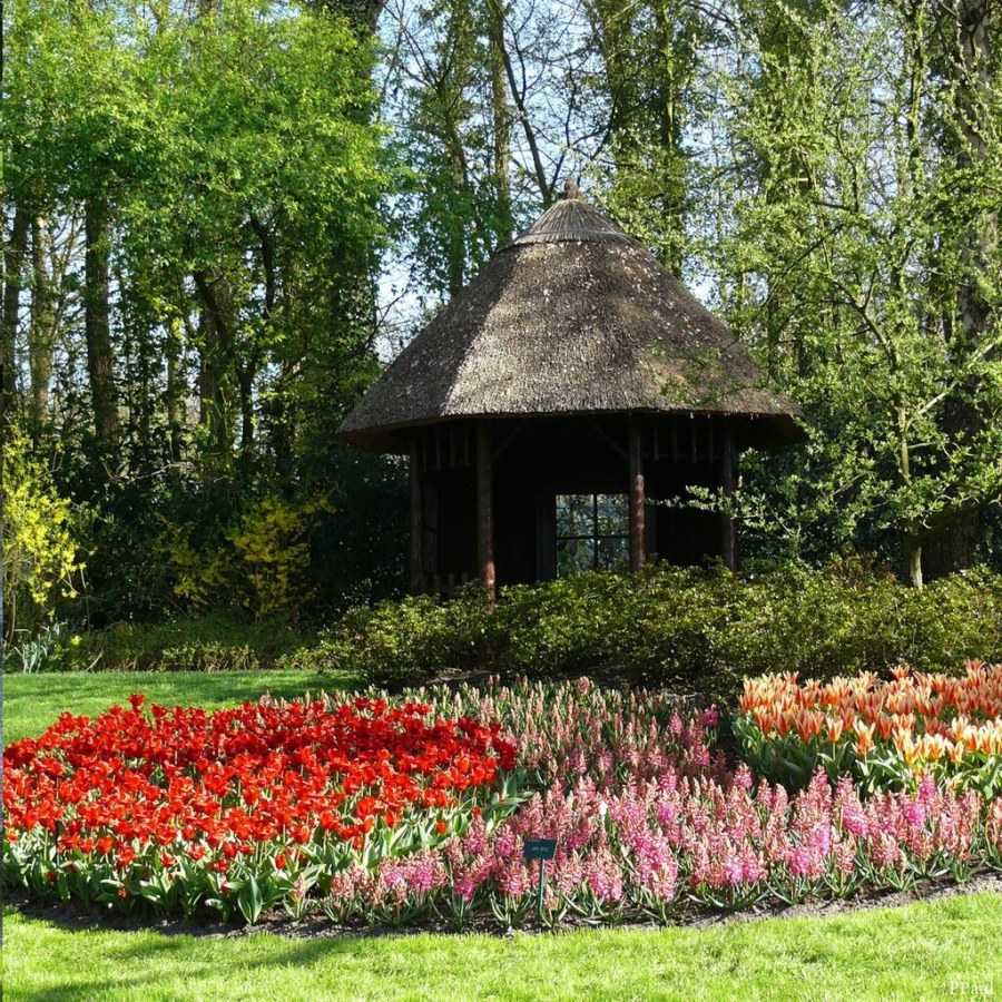 Ландшафт сады Голландии