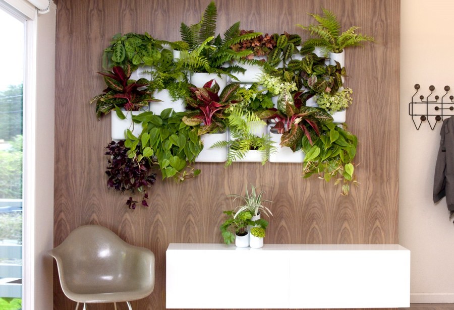 Фитостена икеа