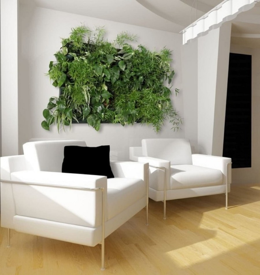 Фитостена в гостиной