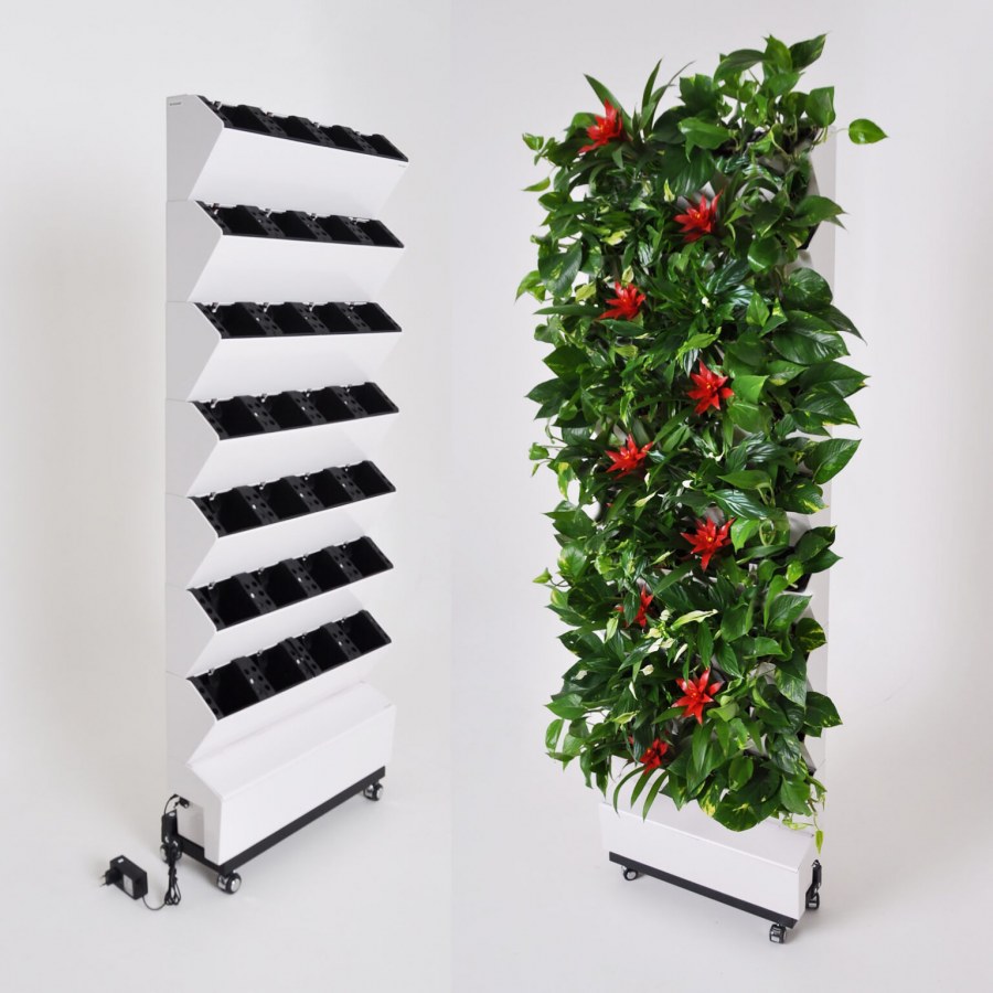 Фитомодули БОКССАНД