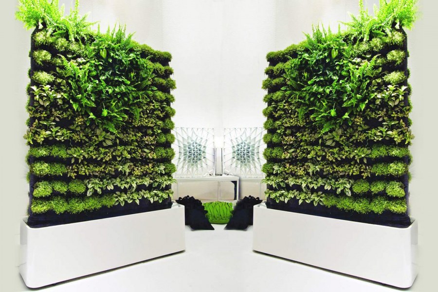 Фитокартина из живых растений