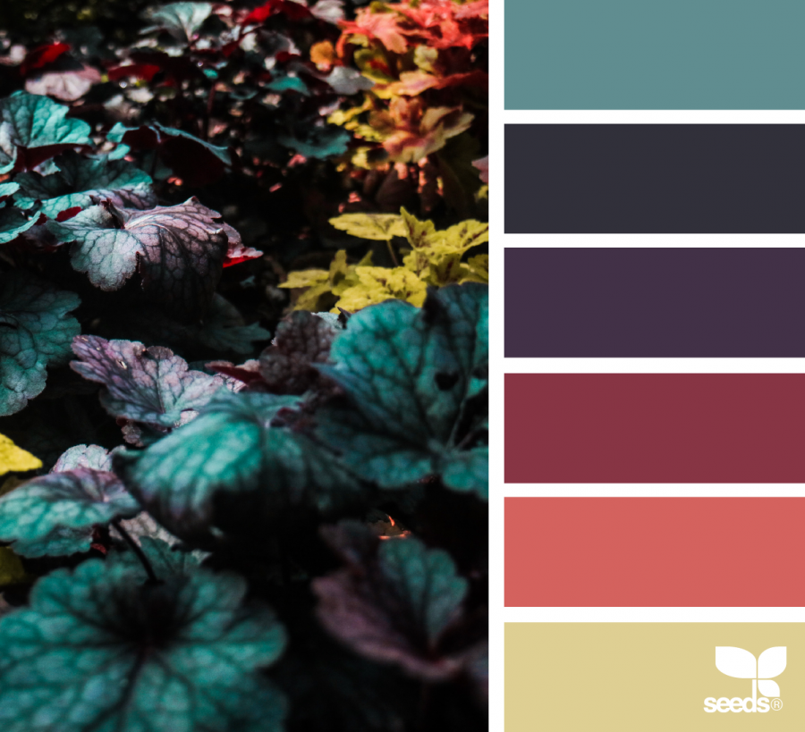 Красивые контрастные сочетания цветов