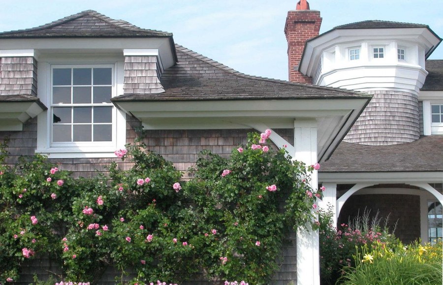 Розы возле стены