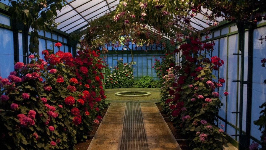 Оранжерея Маргарет