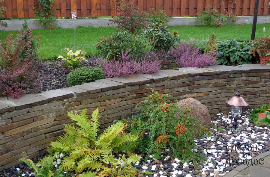 Цветник на подпорной стенке
