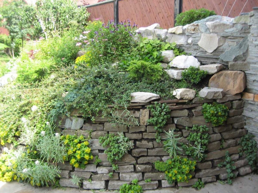 Альпинарий каменная стенка