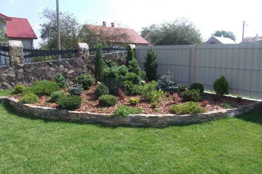 Альпийская горка с плакучей березой