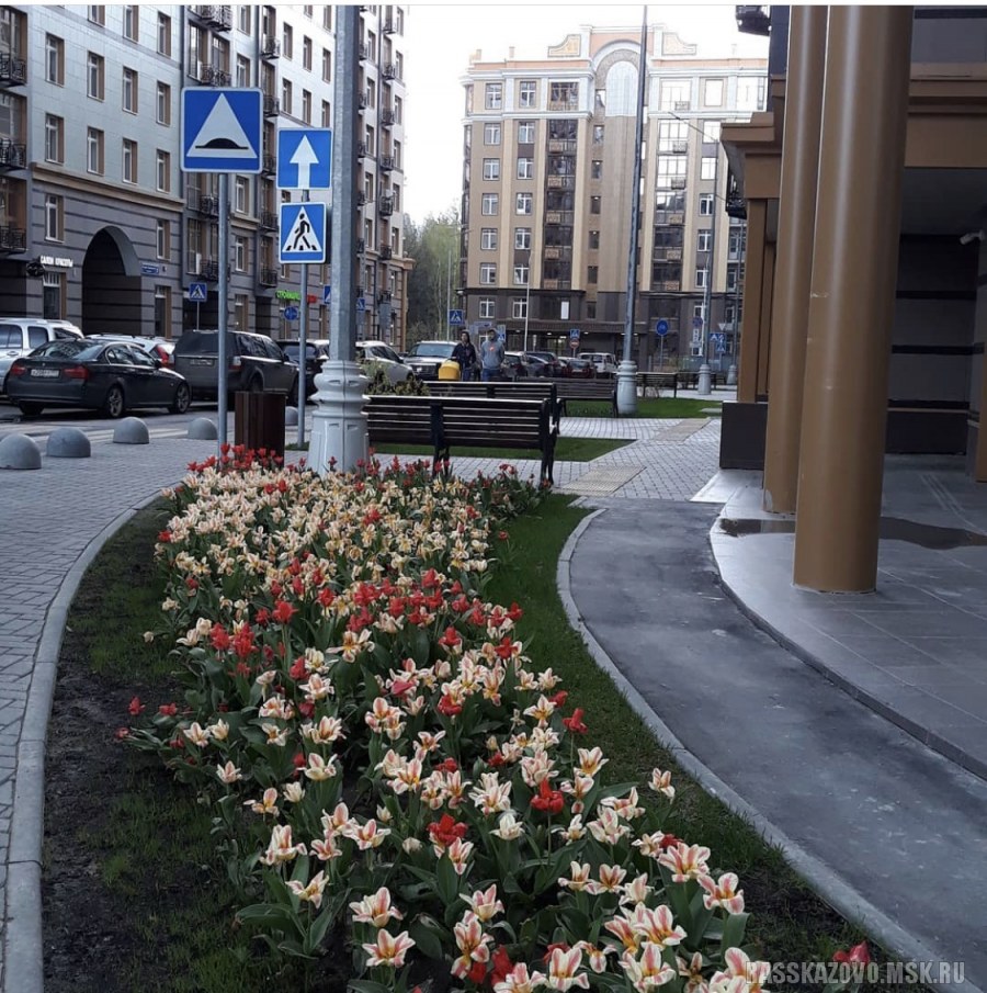 Бульвар Андрея Тарковского Москва