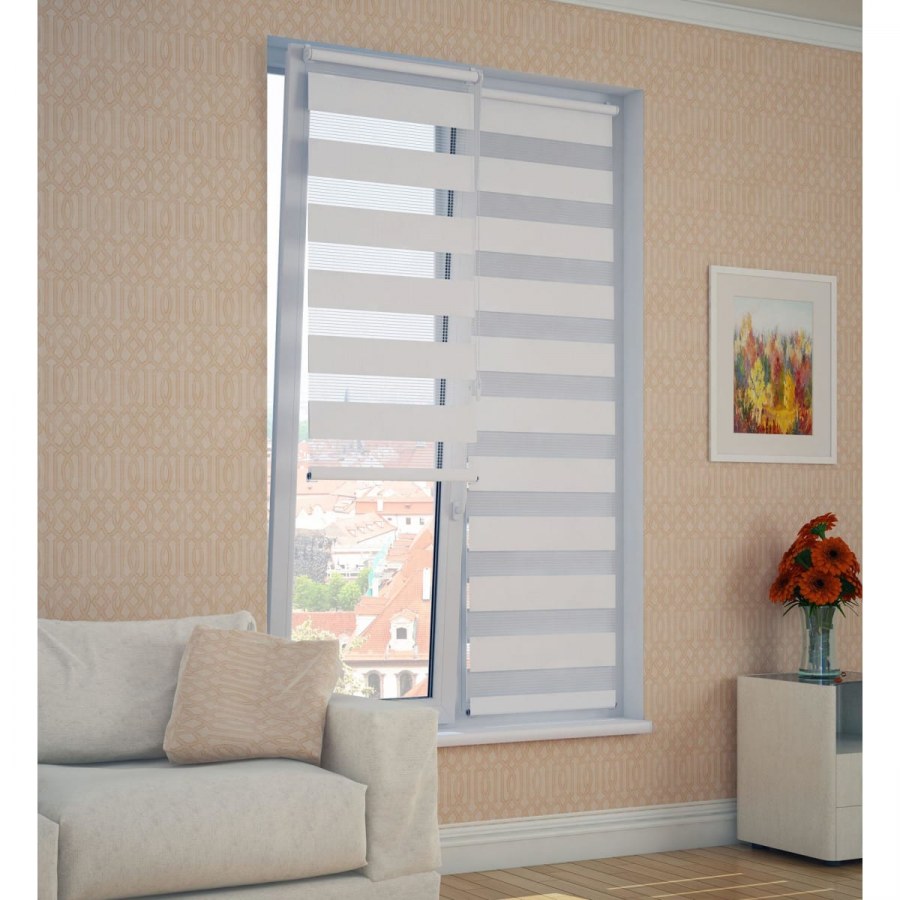 Рулонные шторы день ночь