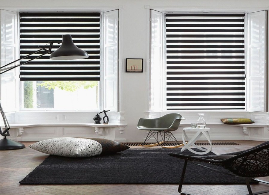 Рулонная штора DDA день-ночь