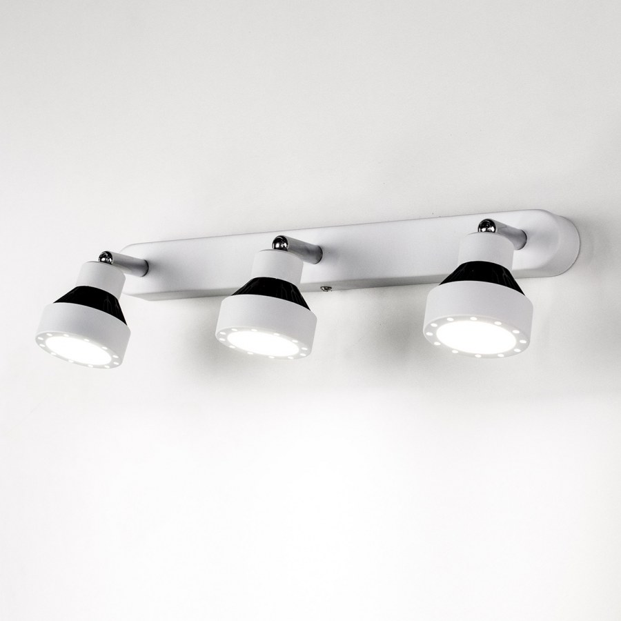 Спот Citilux Данди cl557531