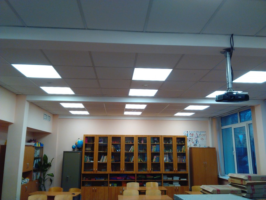 Стабилизированный мох в обеденной зоне