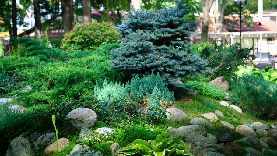 Террасированный рокарий