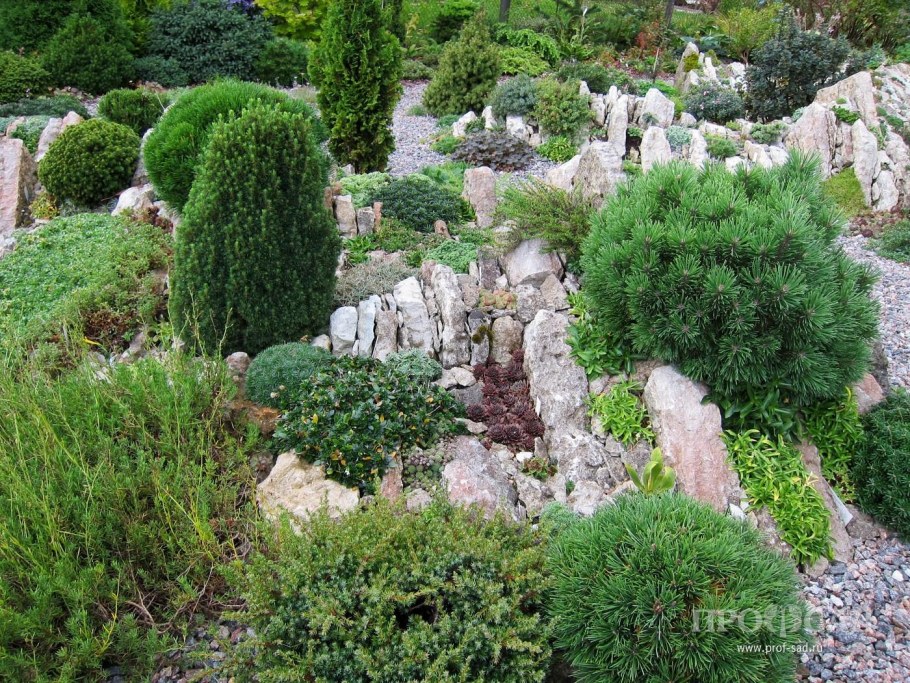 Рокарий чешская Альпийская горка