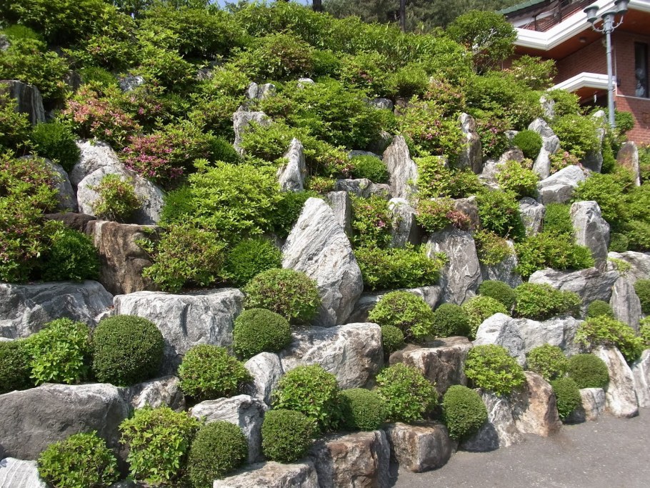 Каменистые сады Альпийская горка