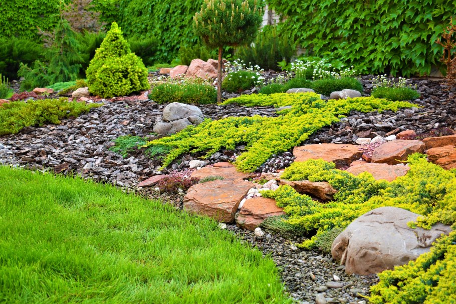 Рокарий Каменистый сад