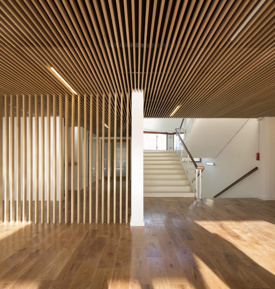 Деревянный реечный потолок