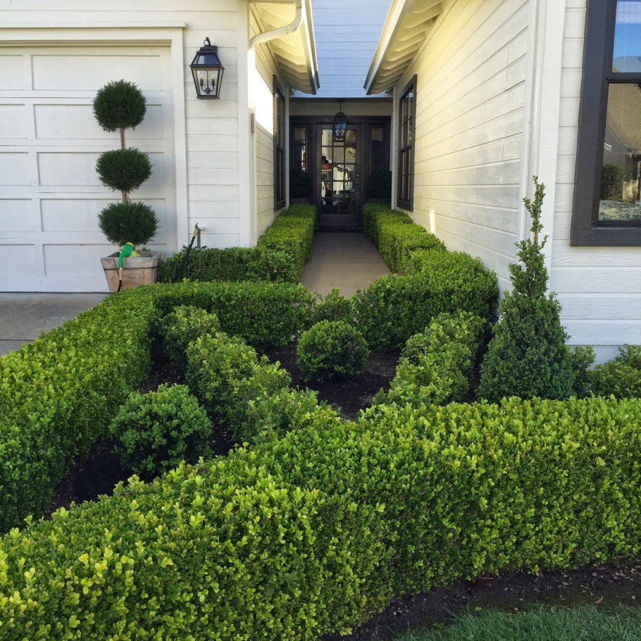 Искусственный газон на веранде