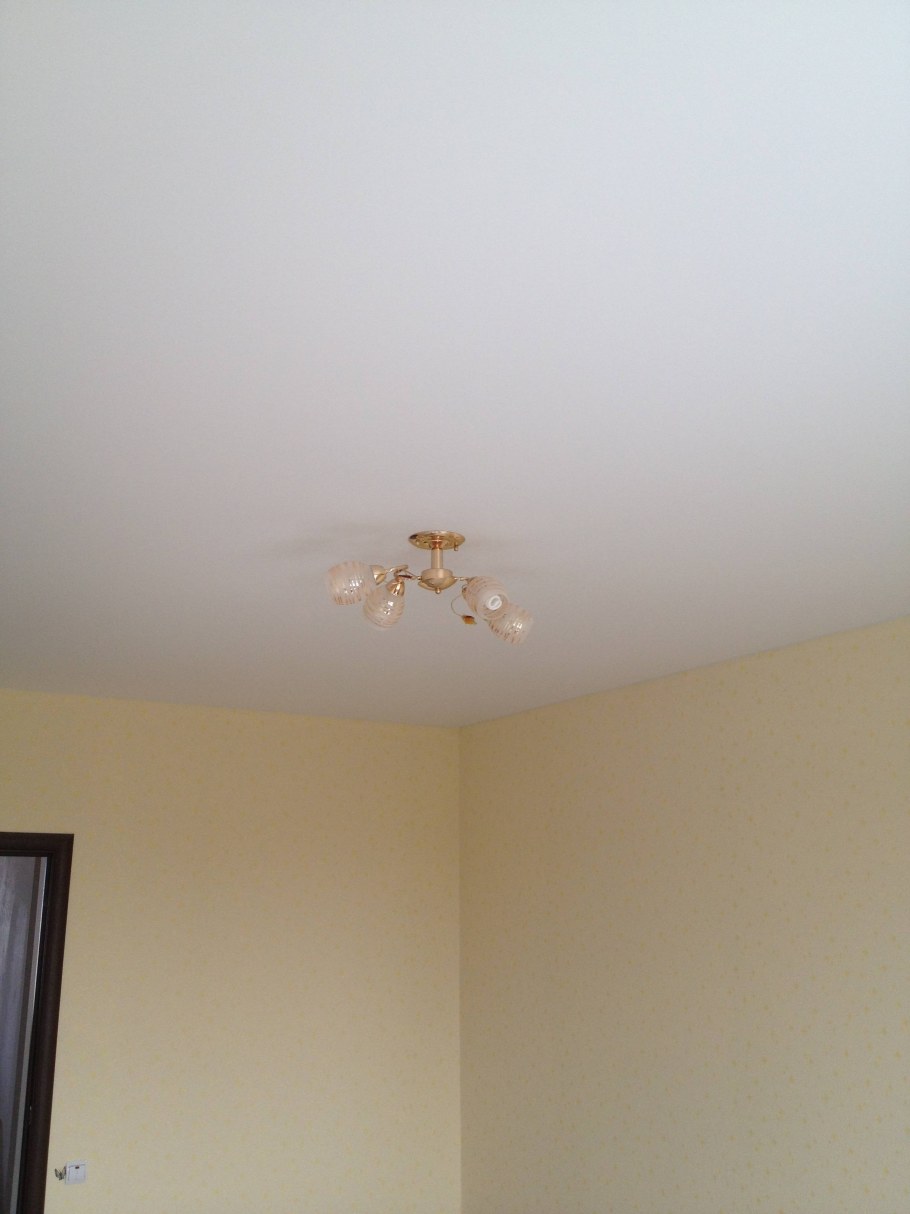 225 Матовый потолок