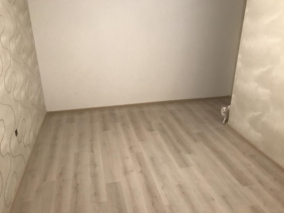 Комнаты 20 кв м с ламинатом