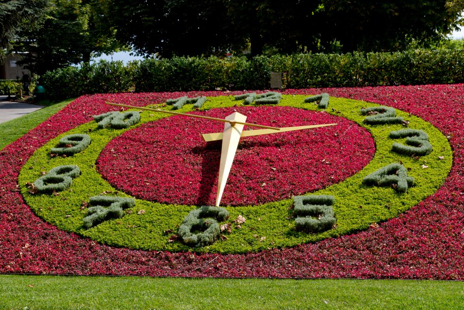 Клумба Линнея