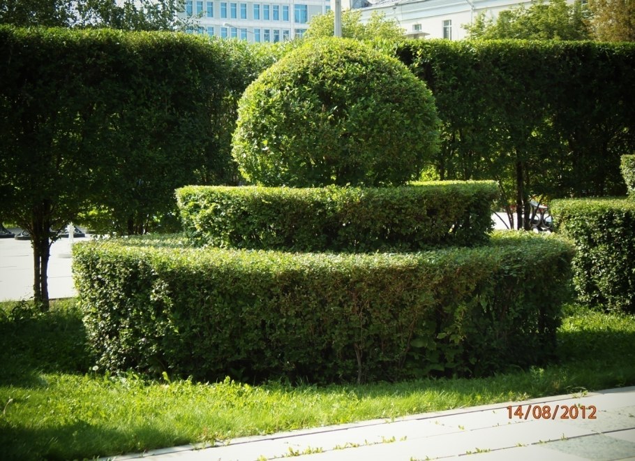 Клумбы Чебоксары