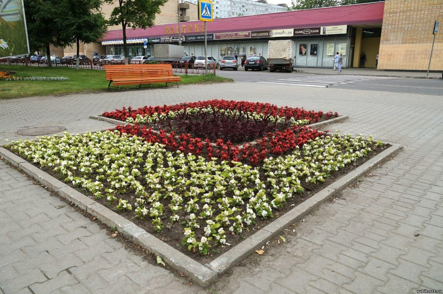 Партер клумба