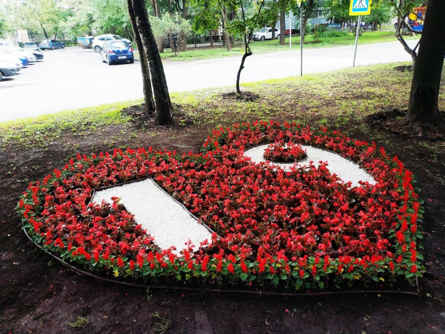 Миксбордеры для входной зоны