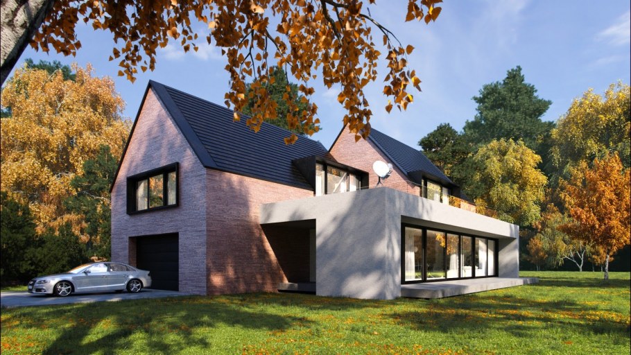 Дом визуализация