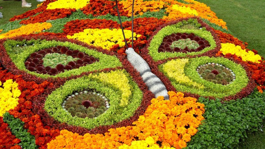 Клумбы и цветники