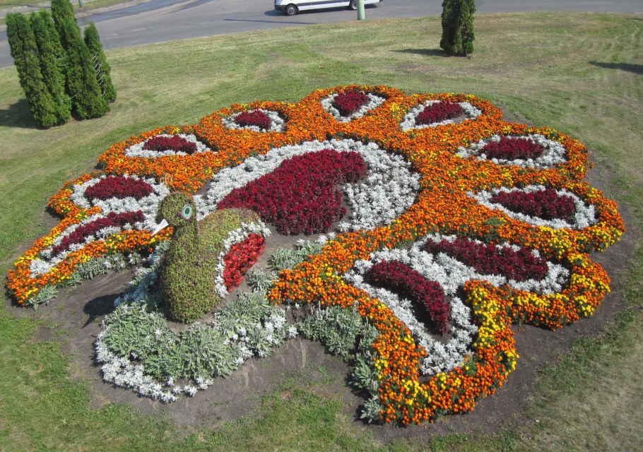 Фигурные клумбы