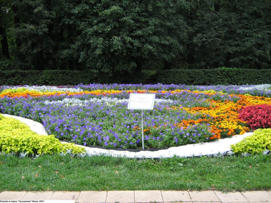 Рабатка Версаль