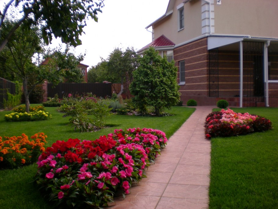 Патио пионы в ландшафтном дизайне