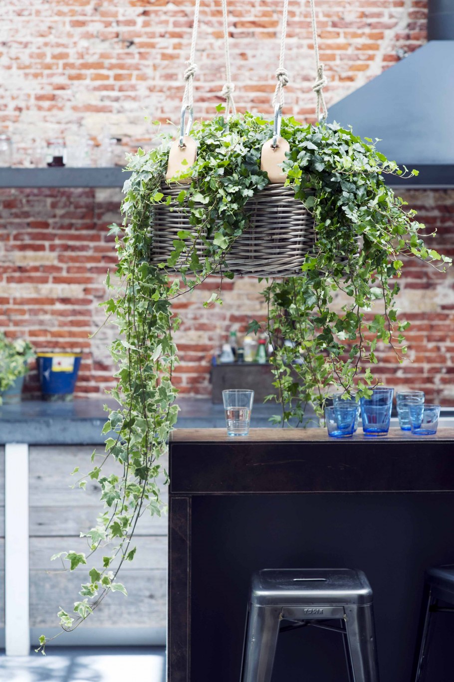 Комната с растениями