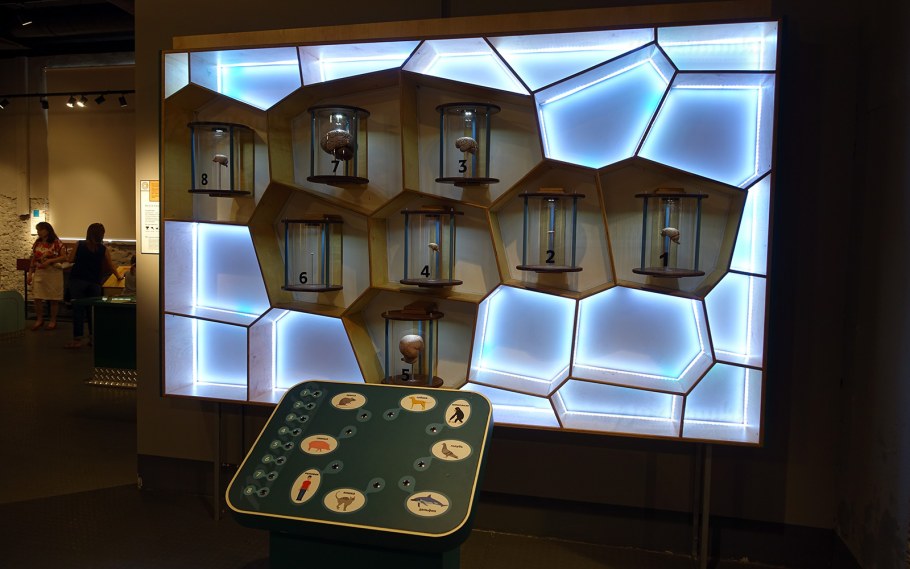 Интерактивные музейные пространства дизайн проект