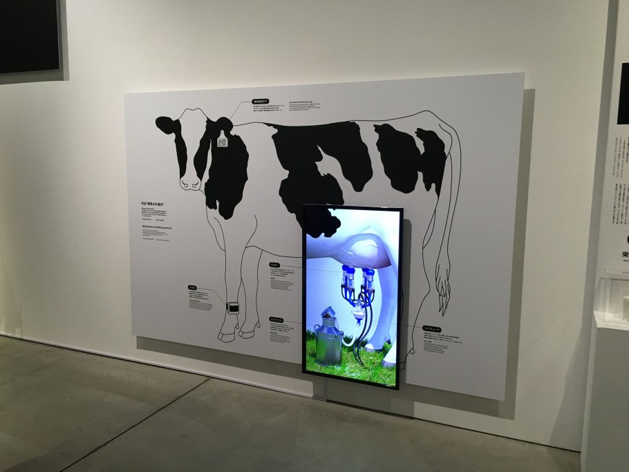 Интерактивный стенд в 3д лаборатории