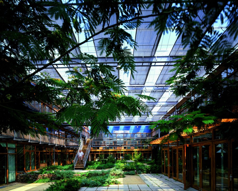 Радбауд университет Нидерланды