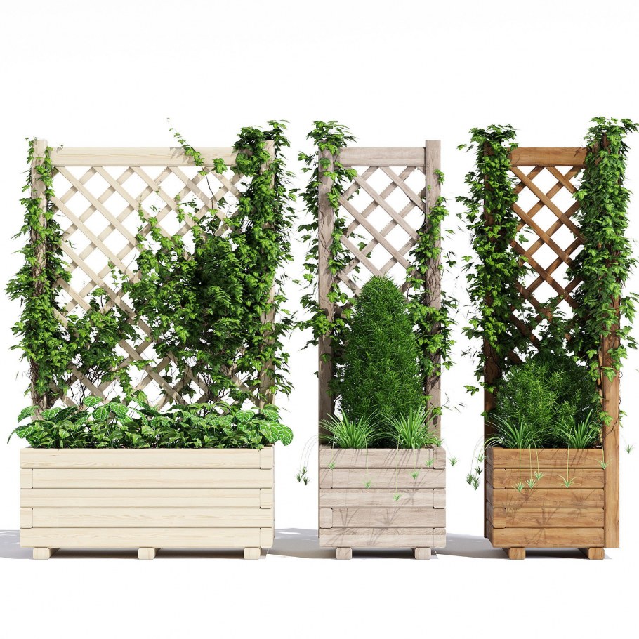 Трельяжная решетка вьющиеся растения