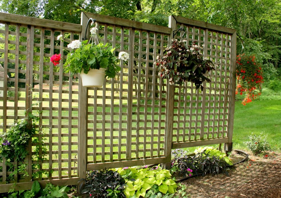 Трельяжная изгородь