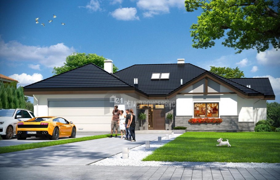 Стильный одноэтажный дом с гаражом