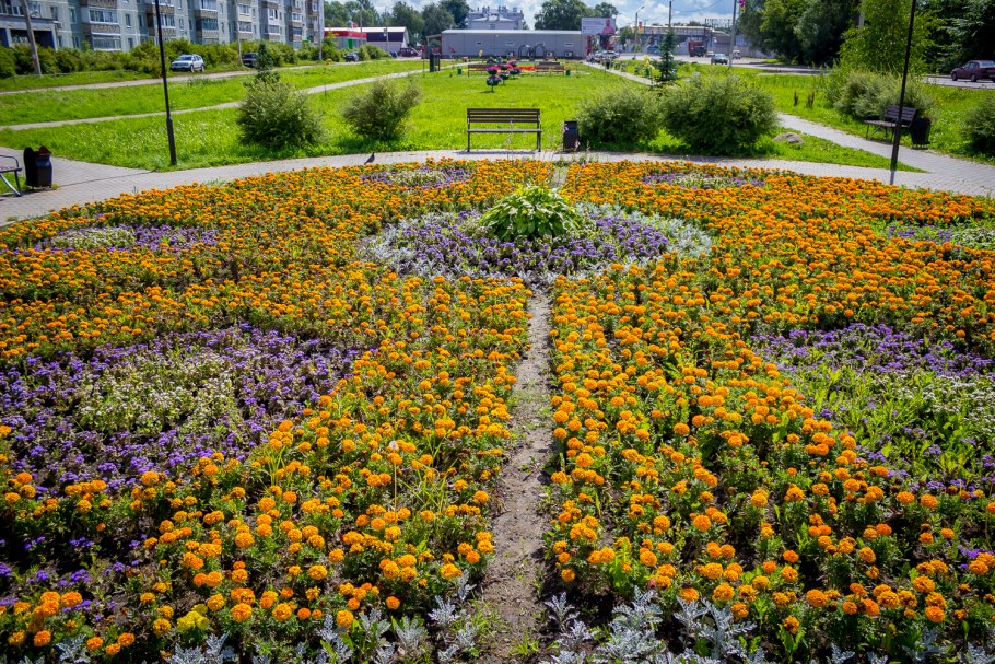 Красивые городские клумбы