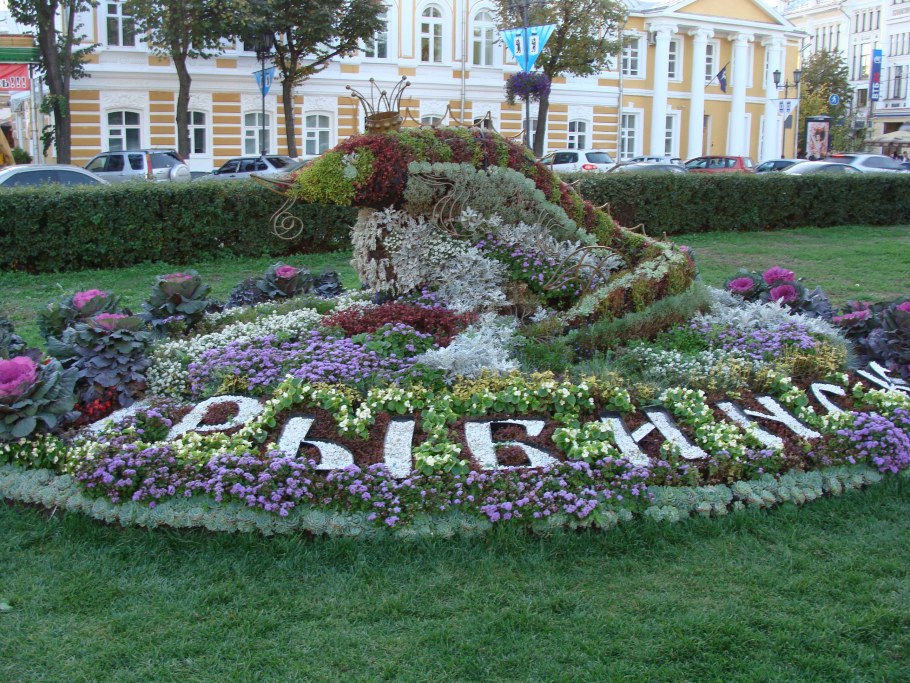 Цветочные клумбы Ярославля